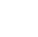 TAXI Zappini Noleggio con conducente NCC